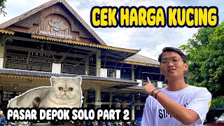 CEK HARGA KUCING DI PASAR HEWAN DEPOK YANG ADA DI SOLO | UPDATE HARGA SATWA DI PASAR HEWAN by Kucing himalayaku official 12,345 views 3 months ago 11 minutes, 35 seconds