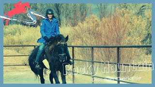 Riding A Chocolate Silver Dapple Rocky Mountain Discoverthehorse Episode 