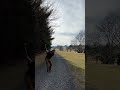 Hitting Golf Ball From Cart Path to Avoid Penalty! Should Have Taken a Drop! #golf