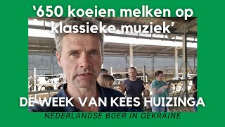 Oekraïnevlogger Kees Huizinga: ‘650 koeien melken op klassieke muziek’