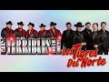 LOS TIGRES DEL NORTE VS LOS TERRIBLES DEL NORTE MIX - PUROS CORRIDOS PERRONES MIX