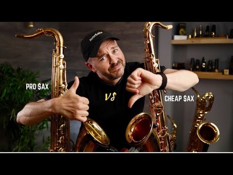 cheap-tenor-sax-on-amazon-($420)-vs-pro-sax-($4600)