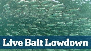 Live Bait Seminar - Florida Sport Fishing TV - Live Wells, Cast Nets, Handling, Storage