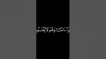 (أحسب الناس اي يتركوا)🌹آيات كرومات #ياسر_الدوسري