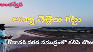 // Anna chellalu Gattu Antarvedi // Where the Godavari flood meets the ocean #flood #godavari #river