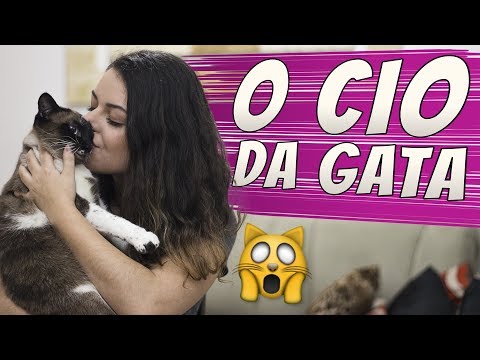 Vídeo: Gato mais velho no Reino Unido bate o Big Three-Oh!