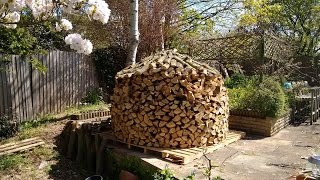 Our first Norwegian Beehive Wood Pile