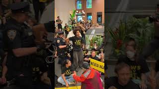 Protesters Sit-In at Chuck Schumer's Office
