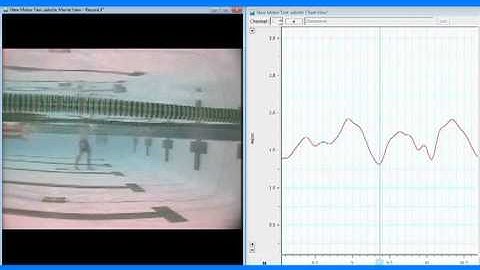 Velocity Meter/Video Telemetry - Freestyle Swimming - TeamTermin Sports