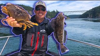 GIANT Crabs, Salmon and Kelp GreenLing {Catch Clean Cook} all 3 in 1 video