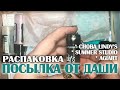 РАСПАКОВКА: очередная посылка от Даши Лариной с миниатюрой, бумагой и линдисами