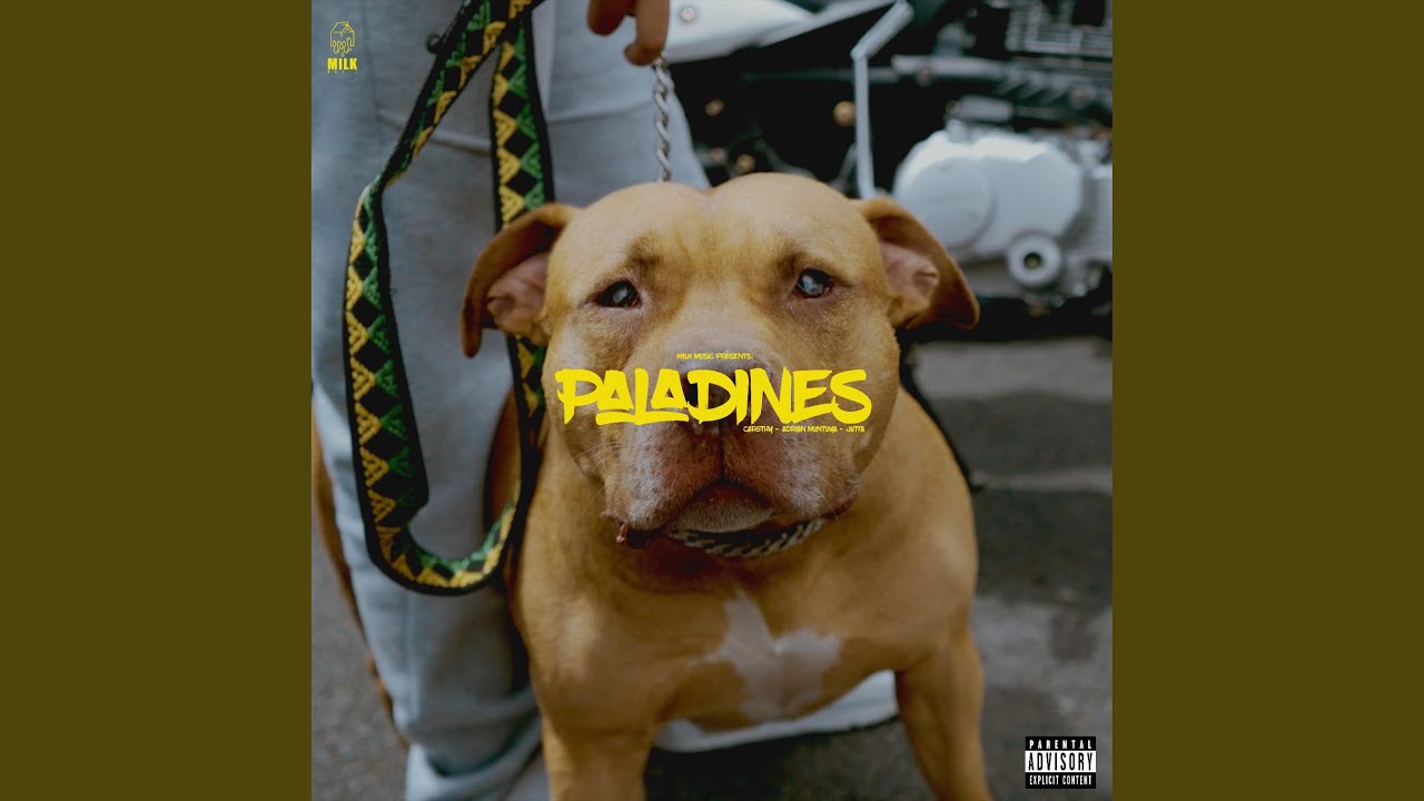 PALADINES X CARGHTY (feat. Adrian Montoya & Jolta)
