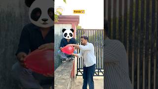 Panda kuch kyu nahi bol raha hai 🤯 #youtubeshorts #shorts #comedy #panda #funny #shortsfeed