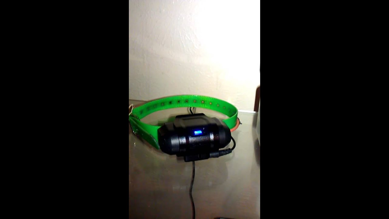 Charging Garmin DC40 collar YouTube