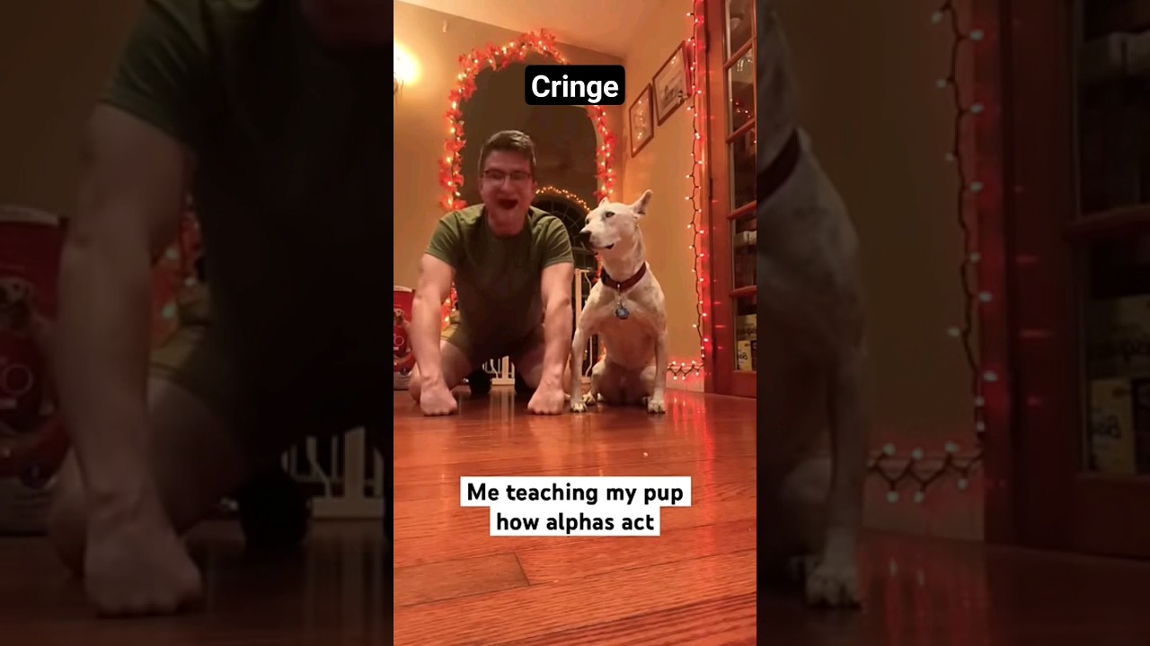 I found the cringes pet owner 