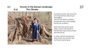 ZwoF Doc no204   Continuous Cover Forestry