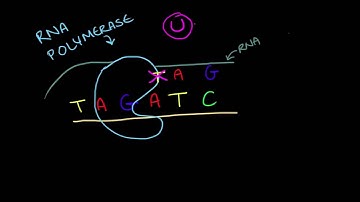 What is iGEM: Transcription, Translation and Transformation