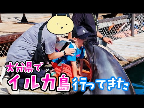 【遊び】大分県でイルカに会いにいってきたよ [day1529/ 4歳2ヶ月]  #大分県 #つくみイルカ島 #イルカ