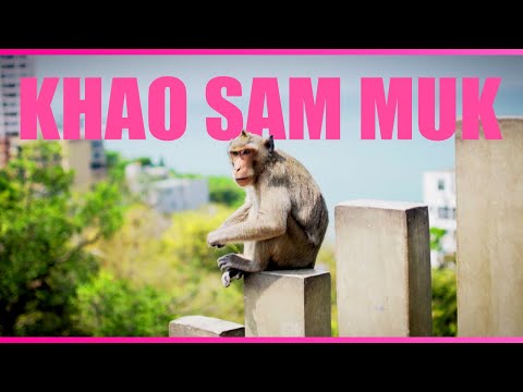 Monkeys, Legends, and Views at Khao Sam Muk | Chonburi, Thailand Travel