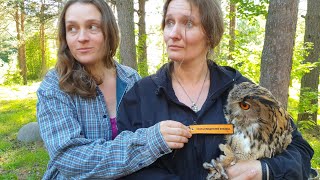 I touched someone else’s eagle-owl! And did everything to him