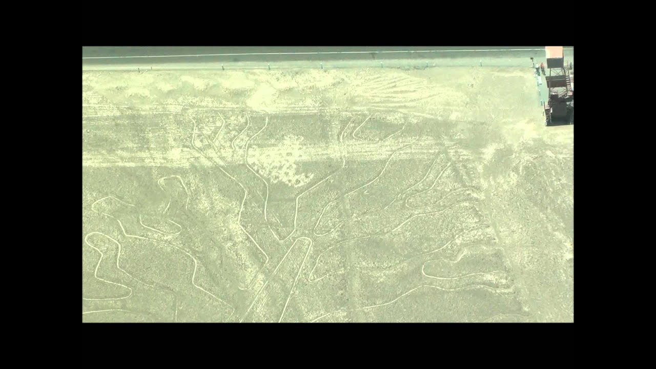 Nazca - Tree & Hands