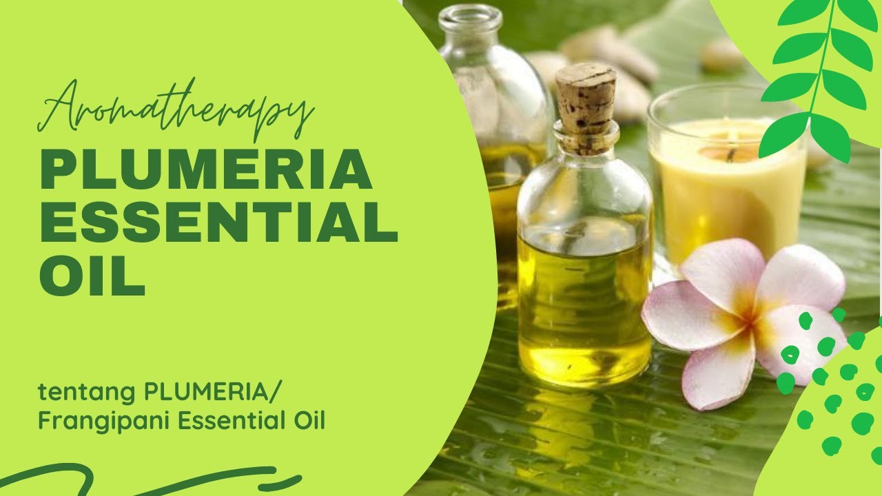 Talk About Essential Oil PLUMERIA /Tentang Plumeria Essential Oil