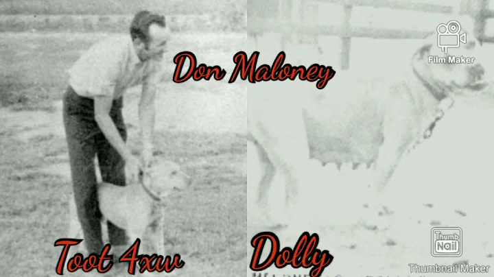 Earl Tudor's Champions Episode 1 "Don Maloney" The...