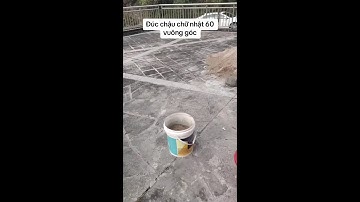 0386700914các loại hoa và cây cảnh của các nhà vườn mời mọi người chiêm ngưỡng