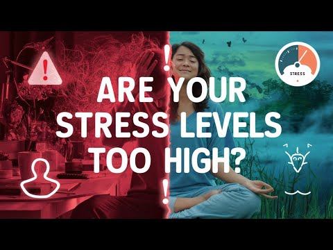 Are Your Stress Levels Too High?