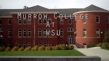 Tutorial 1 Com 210 WSU