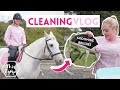 Cleaning Grooming Brushes, Joey Lesson + Mickeys lost Flymask! AD | This Esme