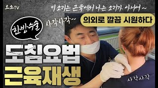 #60 한방수술 도침요법! 딱딱하게 굳은 근육재생! 사각사각~ 이 소리는 근육에서 나는 소리가 아니여~ 깔끔 시원하다! 교정재생한의원 생활습관교정6(9) 오원교 시흥한의원