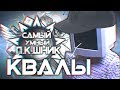 САМЫЙ УМНЫЙ ПКШНИК - ЗРИТЕЛЬСКИЕ КВАЛИФИКАЦИИ