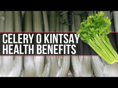 Video: Kintsay: Mga Benepisyo Sa Kalusugan At Pinsala Para Sa Kalalakihan, Kababaihan At Bata, Mga Recipe