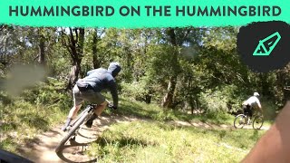 Why I Ride: Hardtails on EPIC Trails With the Neuhaus Metalworks Crew. Hummingbird on Hummingbird