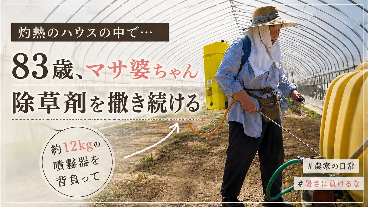 83-year-old grandma working in the sweltering greenhouse again