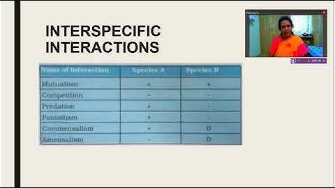 population Interactions Video 2