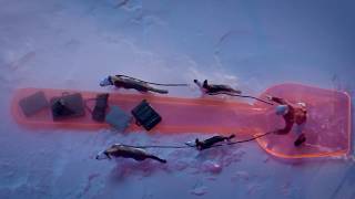 A tale for a better planet | ACCIONA
