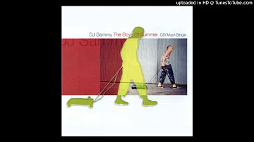 The Boys Of Summer / DJ Sammy