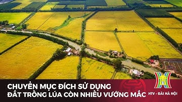 Chuyển mục đích sử dụng đất trồng lúa còn nhiều vướng mắc | Tin tức mới nhất hôm nay