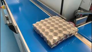 Pratika 55 Smart - Eggs