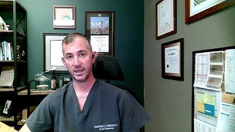 AI model trained for outcome and embryo viability assessment is highly correlates with Gardner score