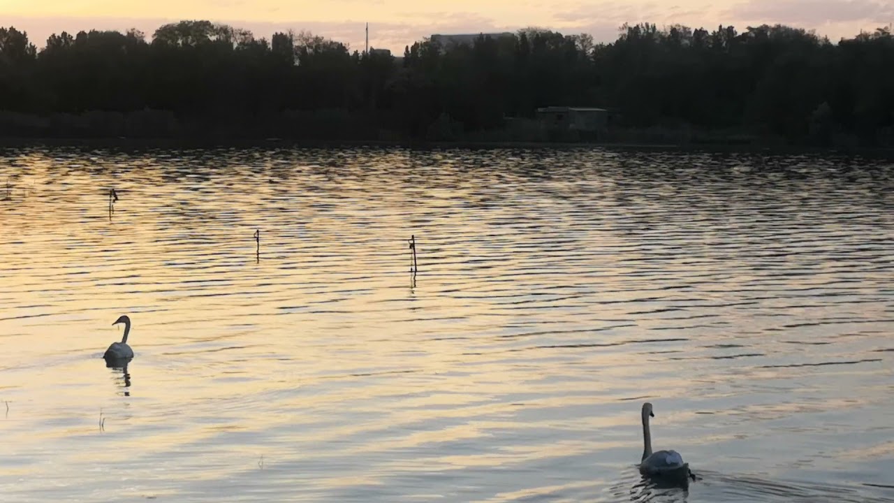 Солнечнодольск озеро