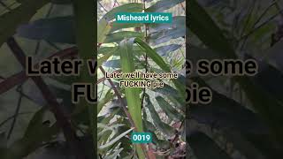 misheard lyrics 0019 #misheardlyrics #music #meme #brendalee #Christmas #viral