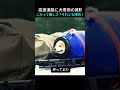 高速道路に犬専用の席! これって優しさ?それとも拷問?