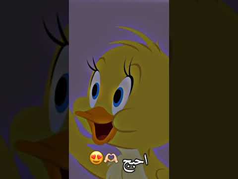 Fatouma 2023 Fatou Reels 