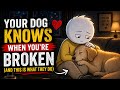 Your Dog Knows When You're Broken (And This Is What They Do)”