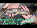 Pche en tenkara dans un torrent daltitude au cur des alpes