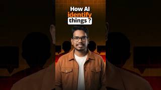 How AI Identifies Things Explained Easy | PythonLife
