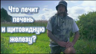 ЧЕМ В ДЕЙСТВИТЕЛЬНОСТИ ТАК ПОЛЕЗЕН САХАР?